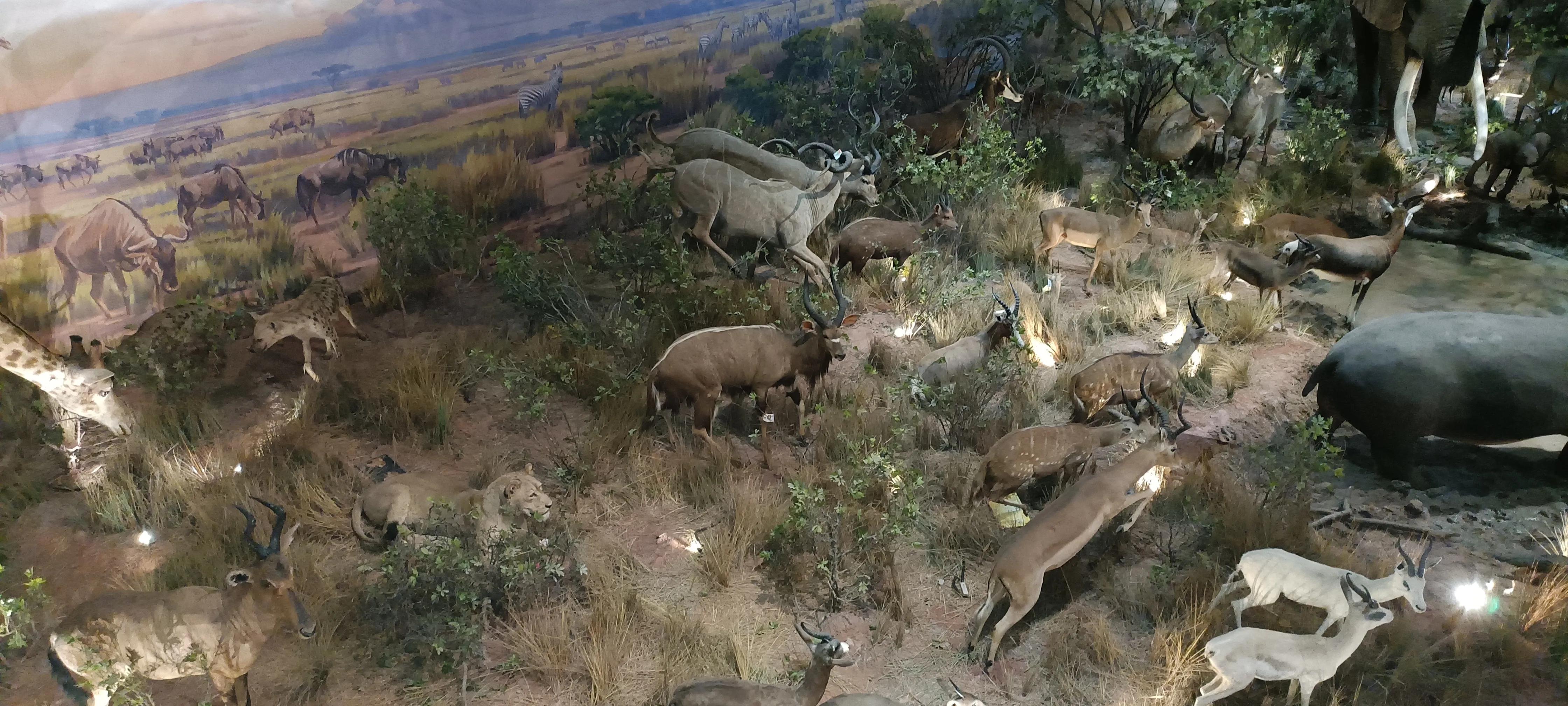 河南省科技馆新馆中标公示,河南省科技馆新馆预约门票