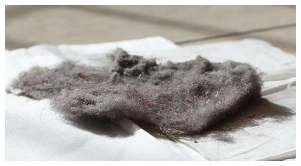 家里毛絮都是怎么来的,家里老是有毛絮有什么好办法