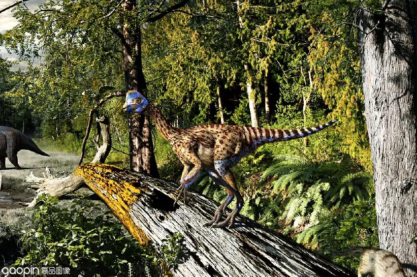 侏罗纪世界进化3恐龙打架,恐龙电影侏罗纪3