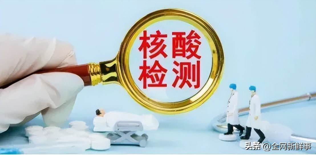 张姗姗核子,张姗姗核子的个人资料