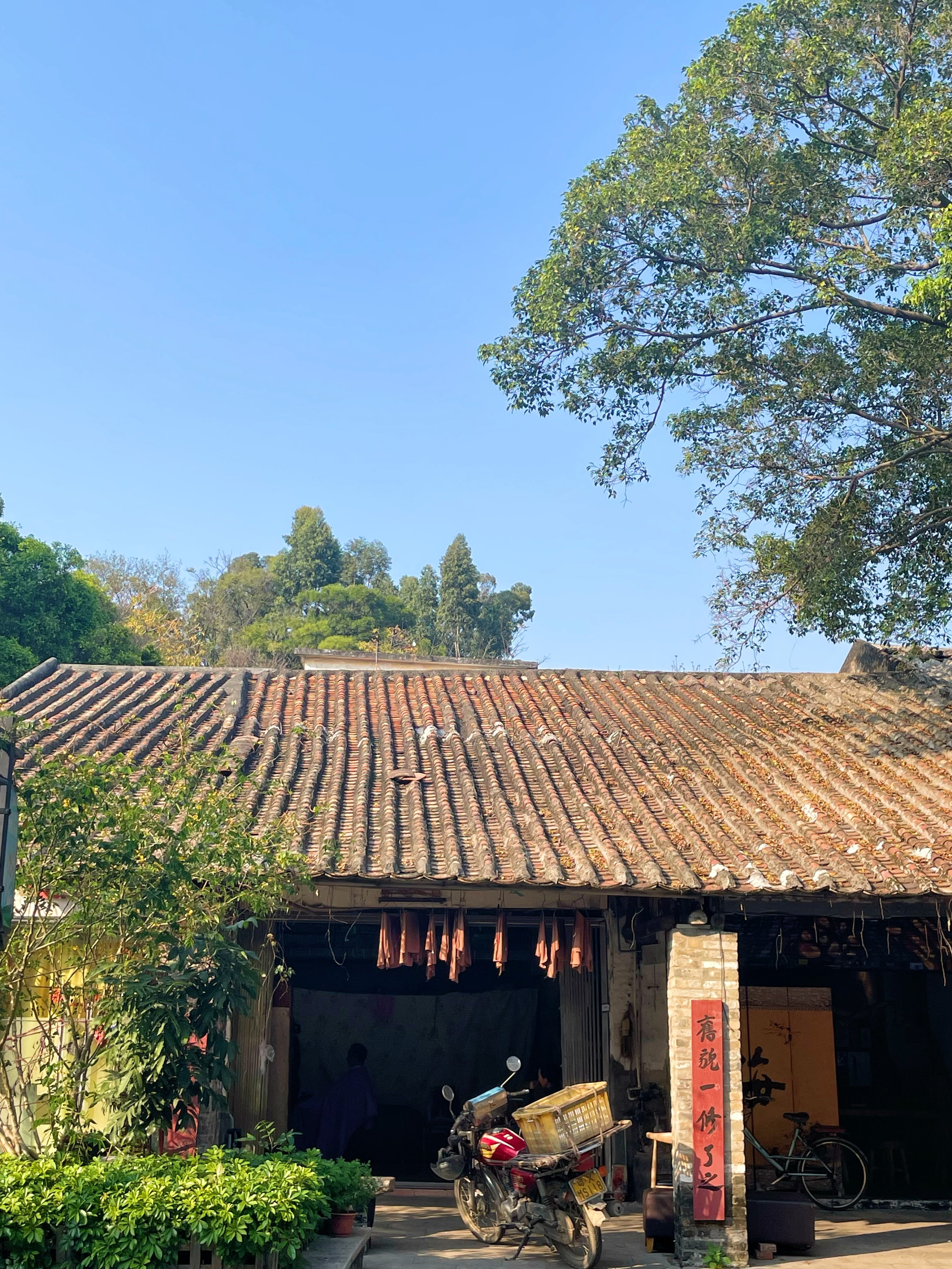 顺德渔人码头游玩攻略,顺德游玩攻略景点大全