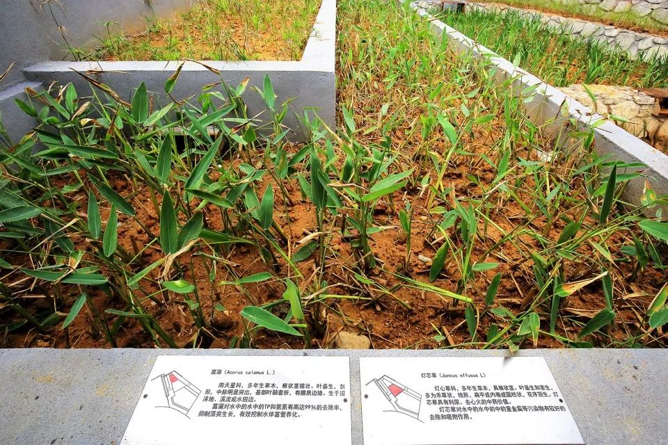 10个极具设计感的乡村改造,乡村创意改造景观