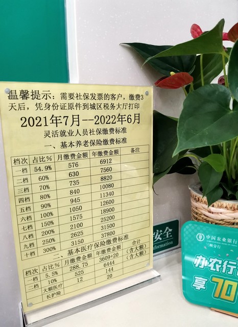 2023农村养老保险缴费档次一览表,城居社保缴费