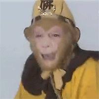 西游记中孙悟空适合当哪一种老师,唐僧师徒四人选一个孙悟空