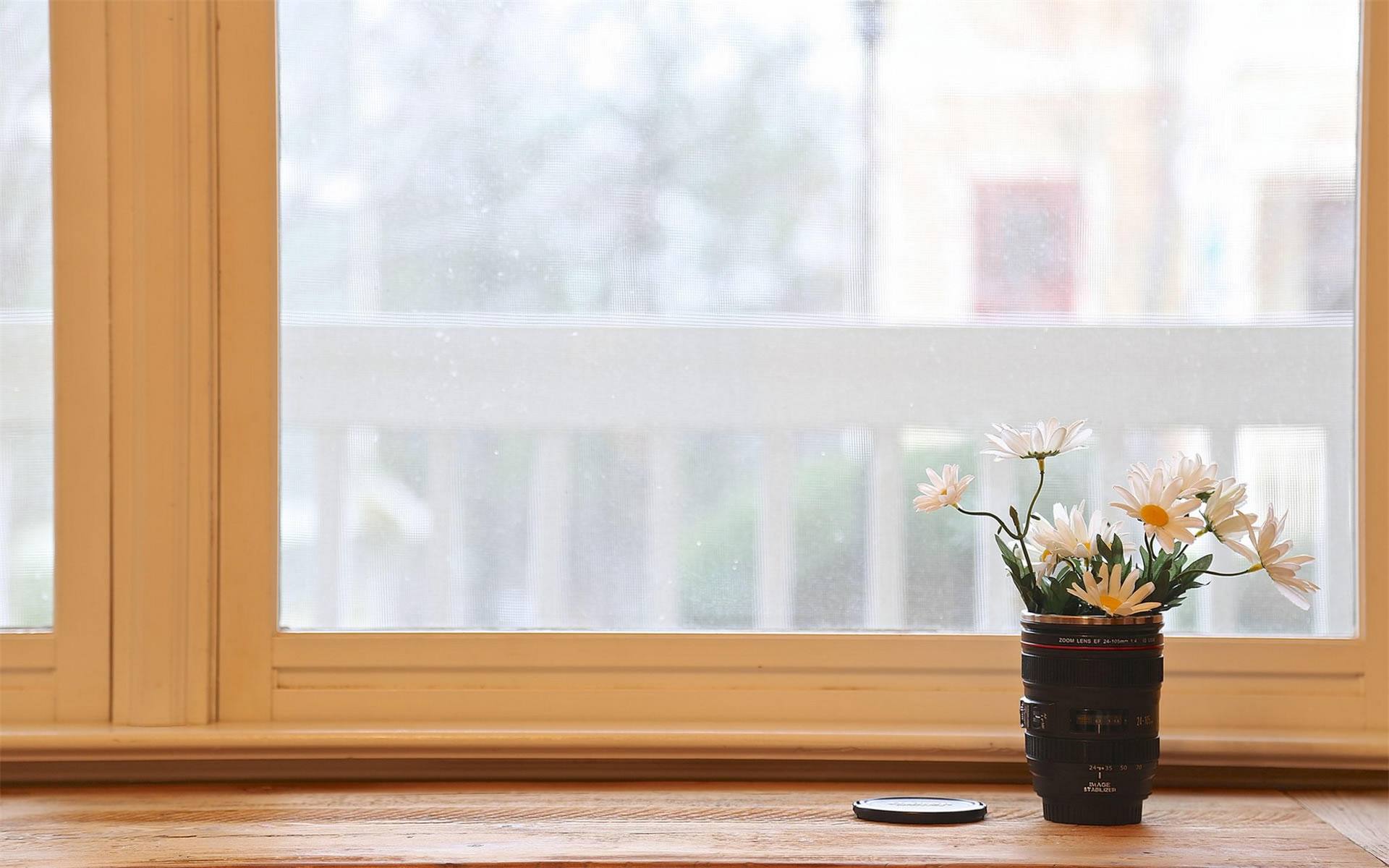 鐖辩绉熸埧,鐖辩绉熻祦