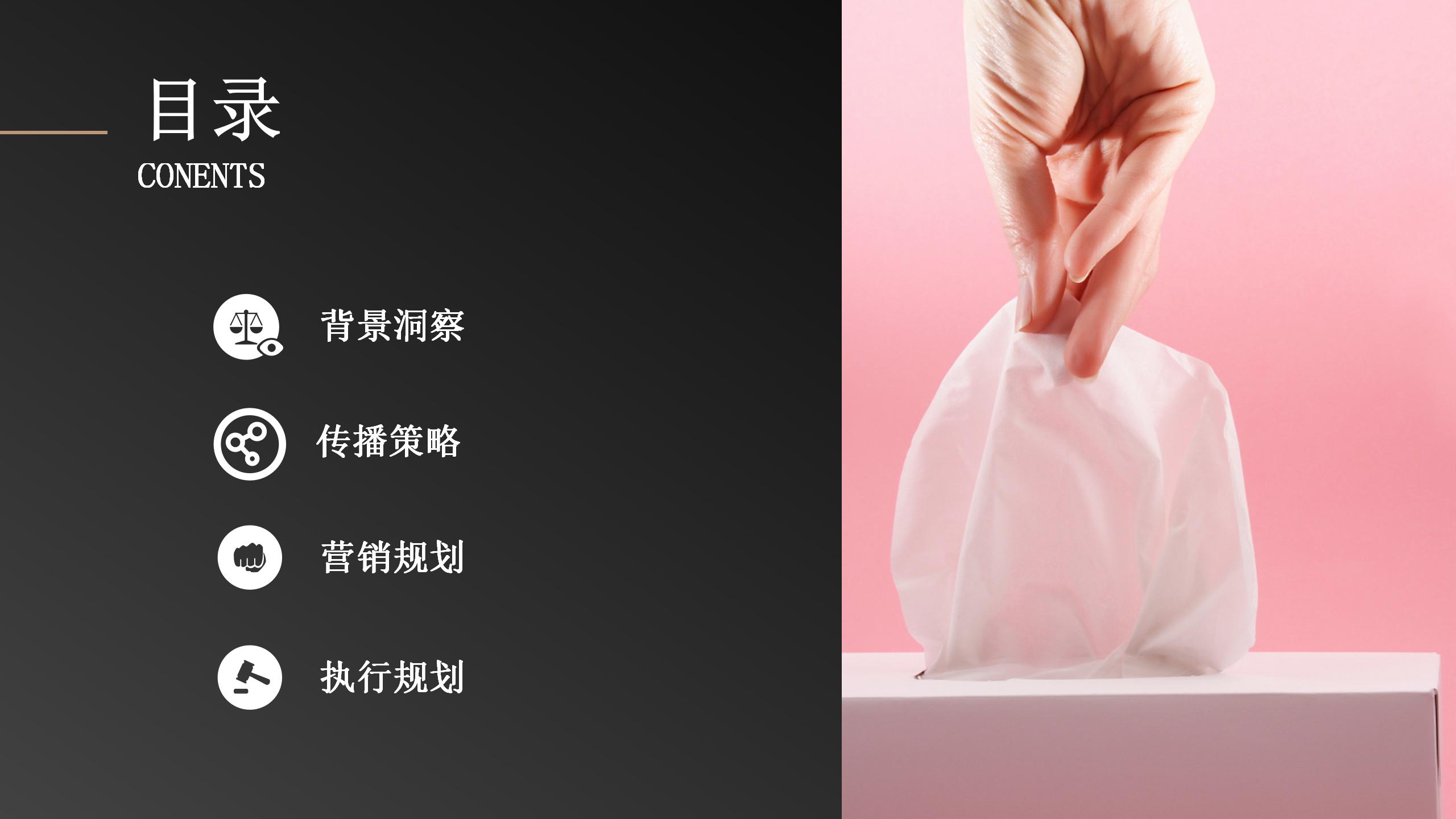 洁柔市场推广,洁柔营销策略分析