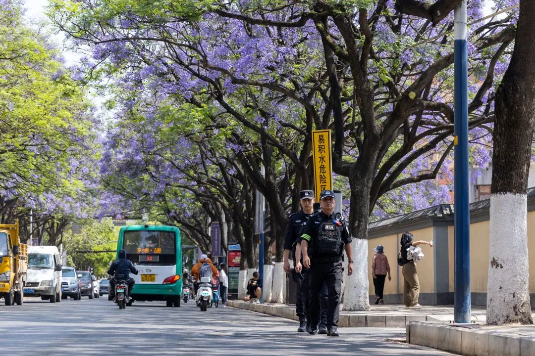 芸儿美美美美美,美美美美美美美英文