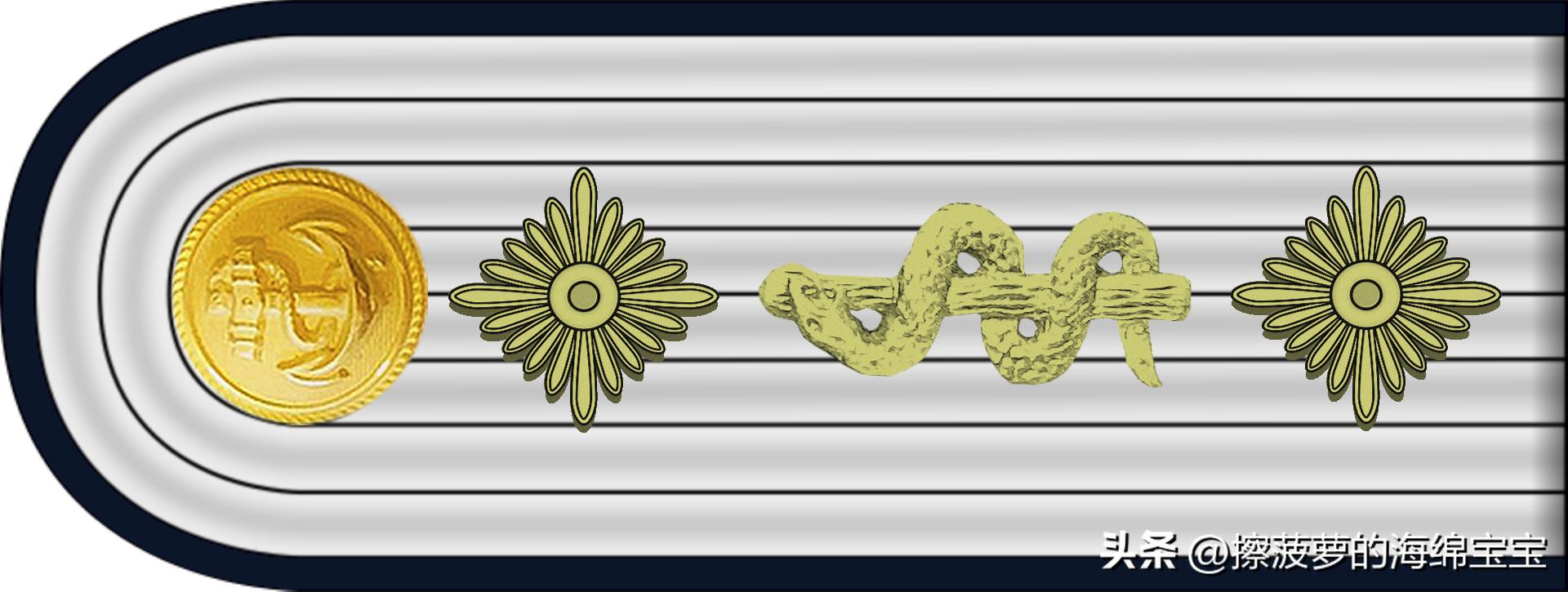 二战德国国防军医疗兵军衔标志