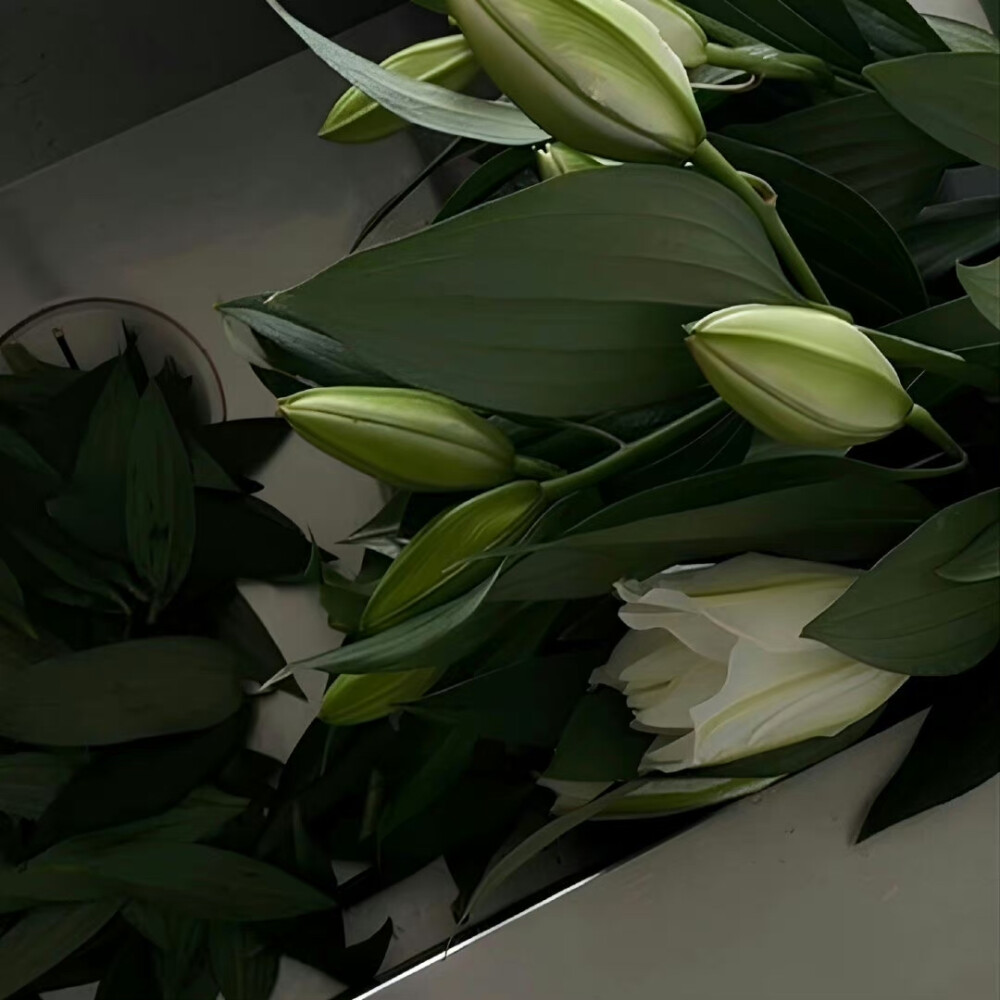 2022夏至美好如期而至情感文案,始于夏至止于永远文案