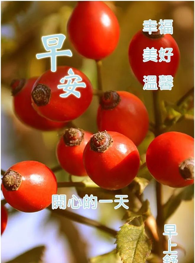 QQ群发，一键轻松，精准投送