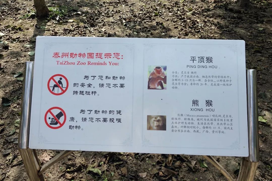 泰州动物园在哪里,泰州动物园在哪