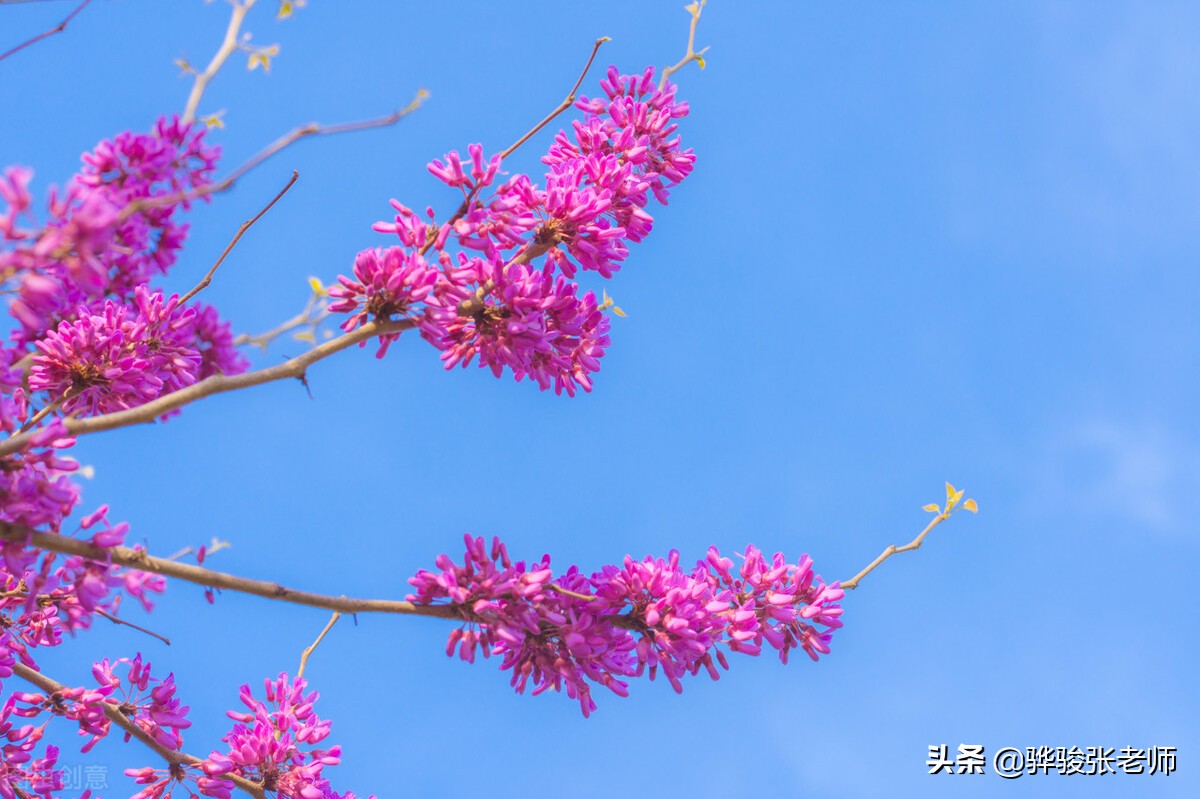 为什么郑航排名低录取分数线高,郑航更名大学后实力排名