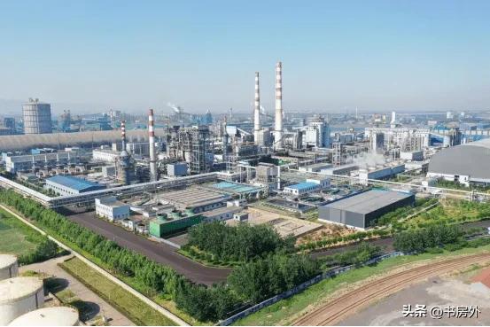 张天福风生水起多少钱,张天福百年辉煌系列