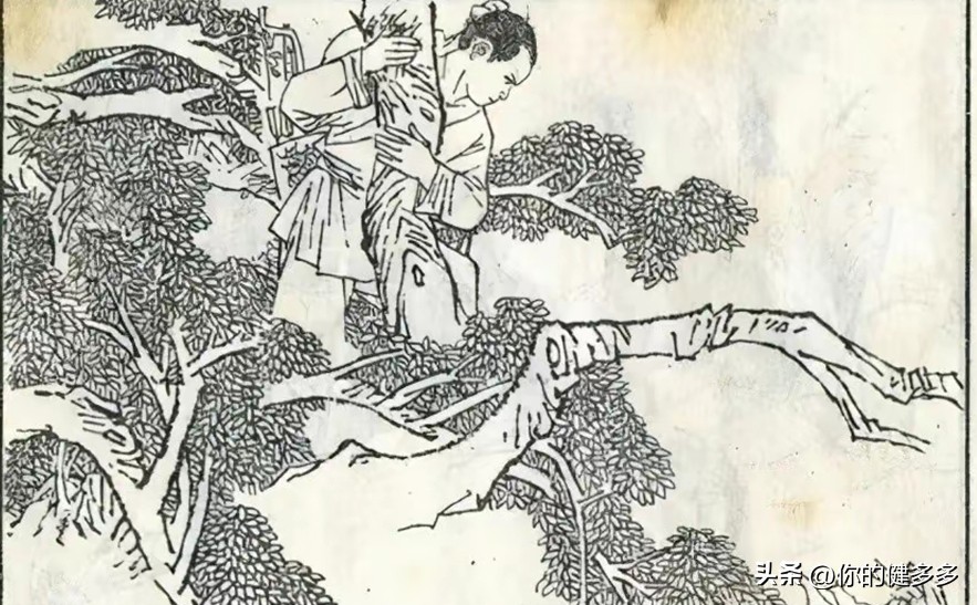 民间故事男人好心救助断腿乌鸦,民间故事男子救了一只狐狸