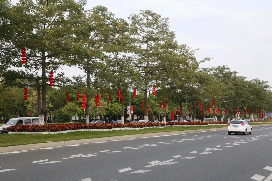 新春走基层年渐近年味浓,新春走基层石头村高挂迎客来