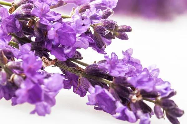 在生活中迷茫的时候怎么调节心情,难过时如何快速调整自己的心态