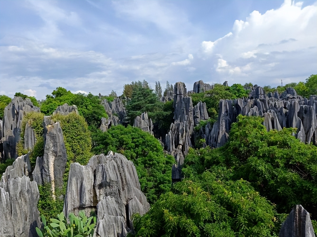 云南旅游6天5晚自驾游攻略,云南旅游攻略西双版纳5天4晚