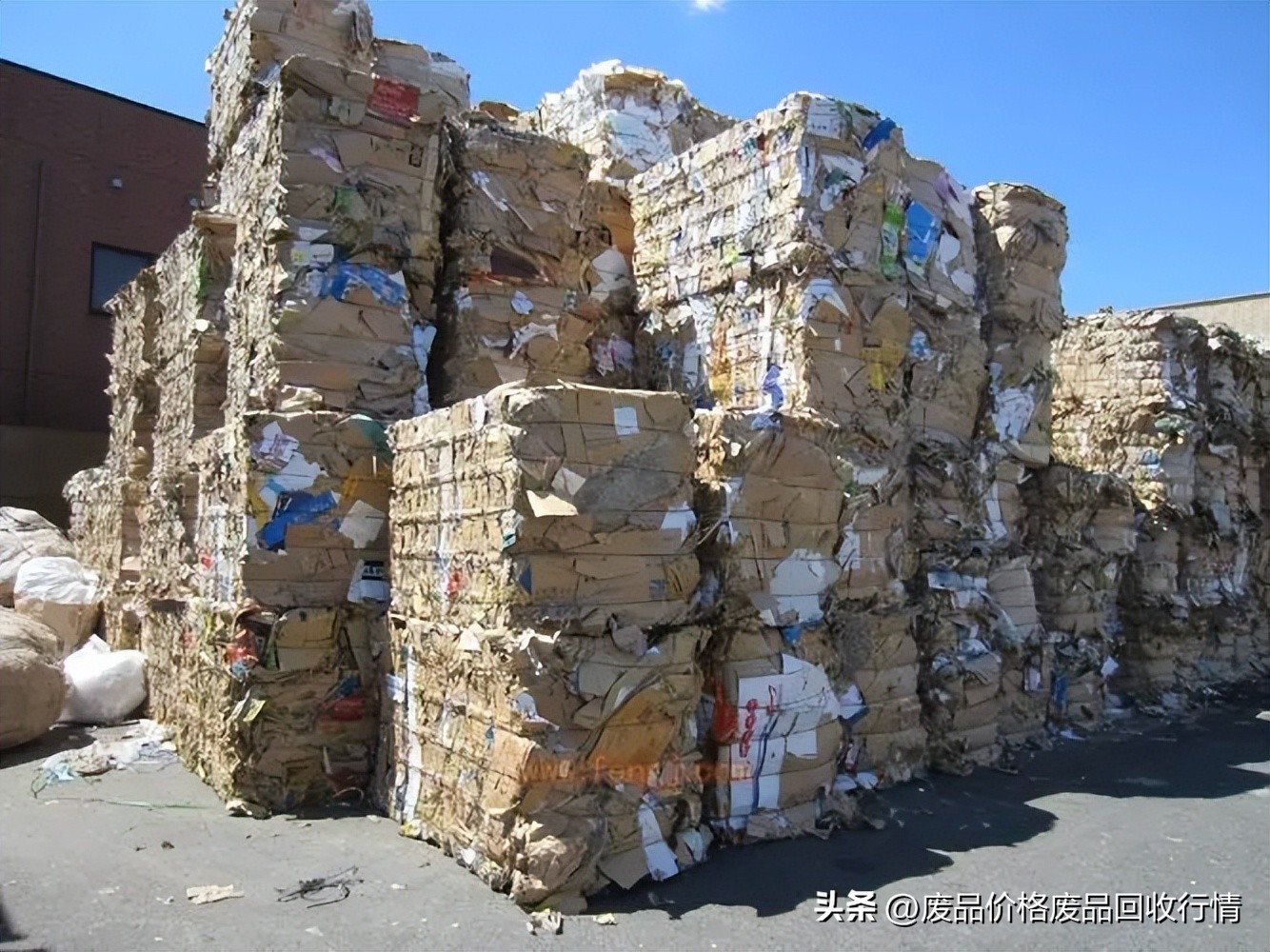 今日废纸价格后期跌还是涨,2023下半年废纸价格有望回升吗