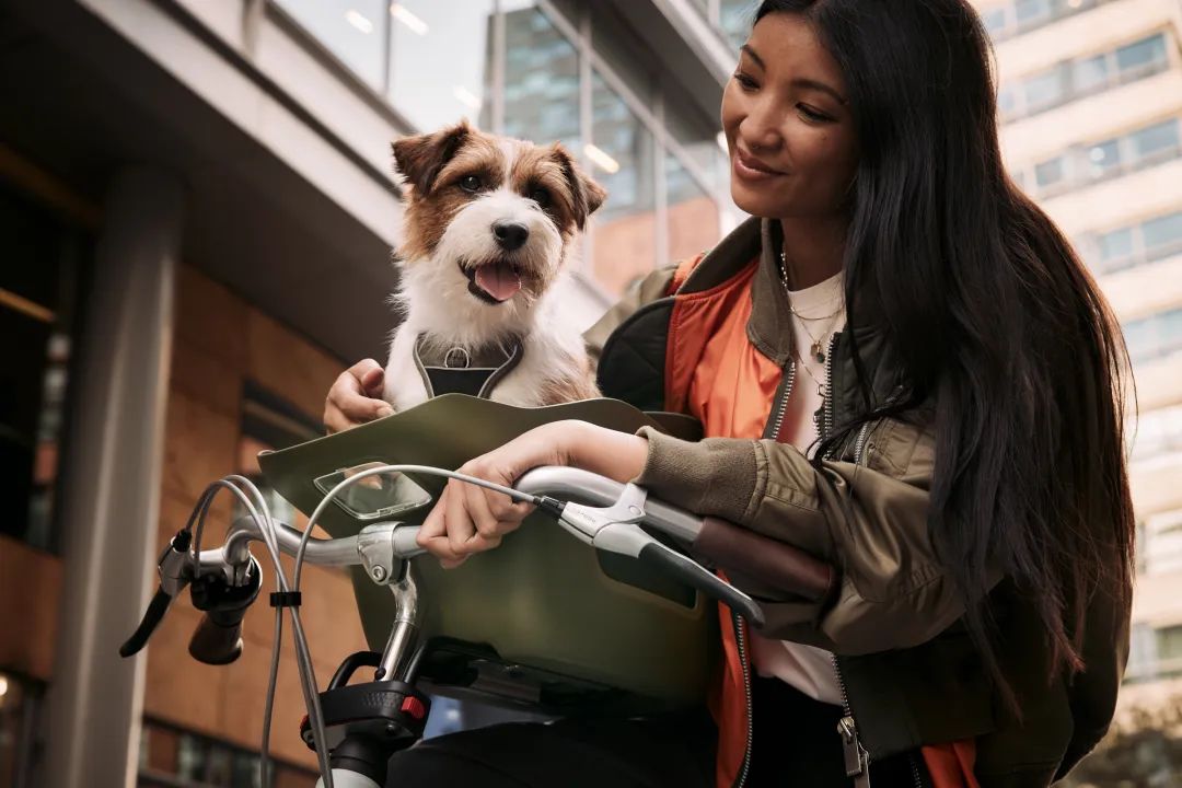 为宠物而设计,极简宠物产品