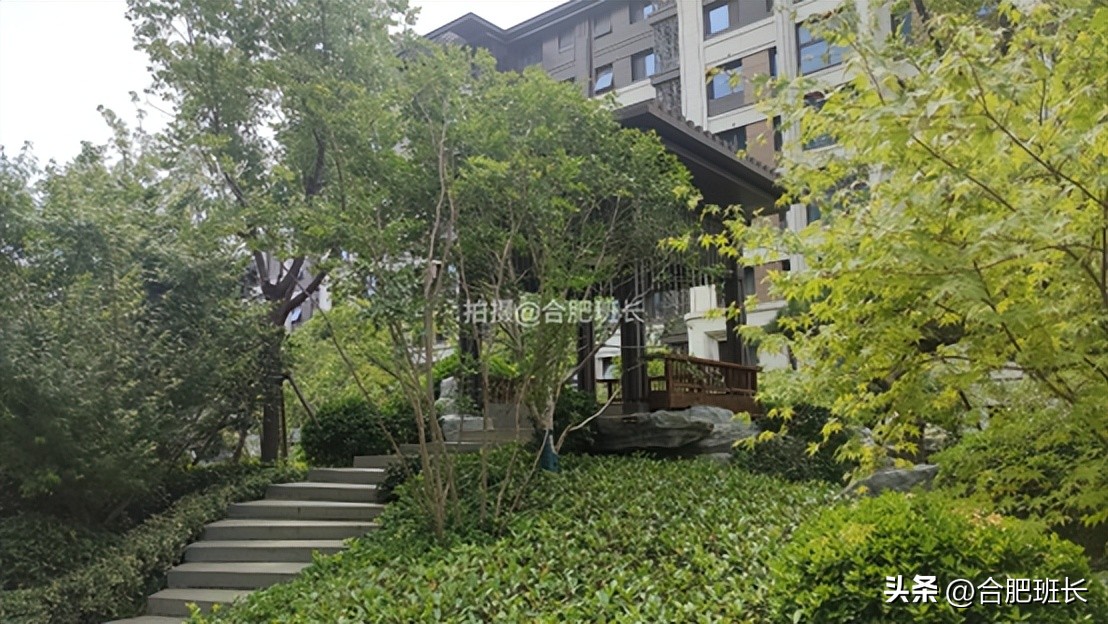 紧邻公园不如住在公园，实探以中式园林闻名的滨湖区葛洲坝紫郡府