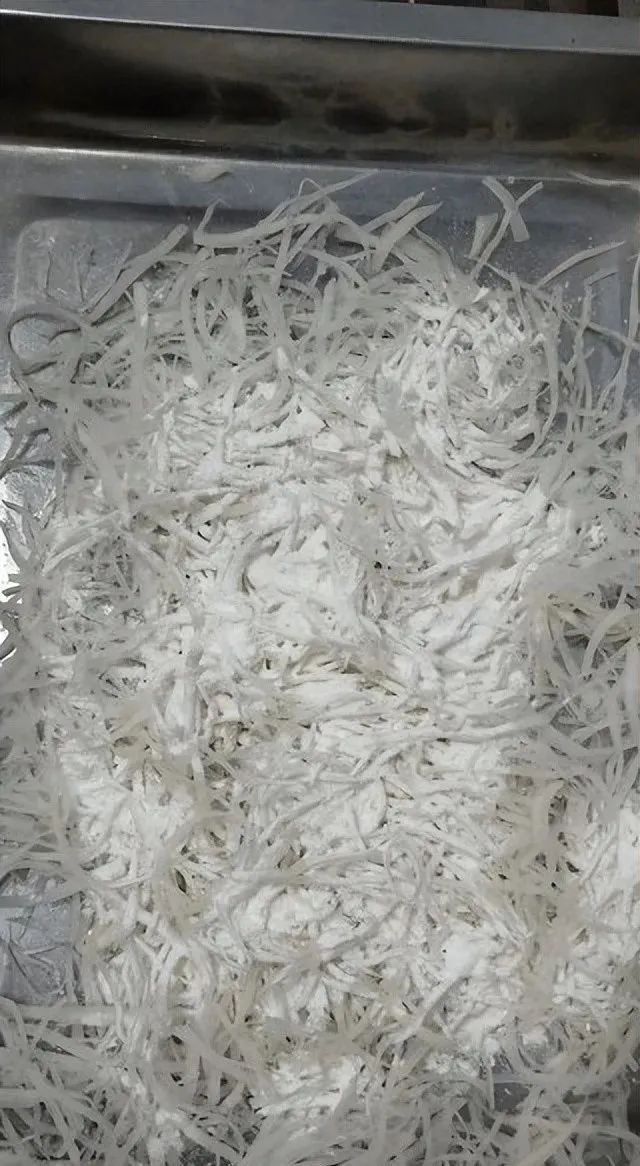 春赏牡丹花,春赏牡丹