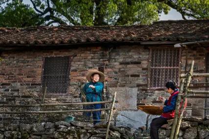 迷茫的婚姻小说,没有希望的婚姻不如早点放手