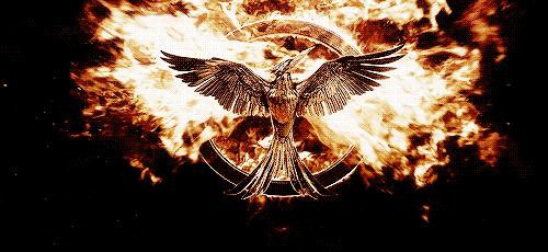 欧美奇幻动作冒险电影,欧美惊悚电影饥饿游戏