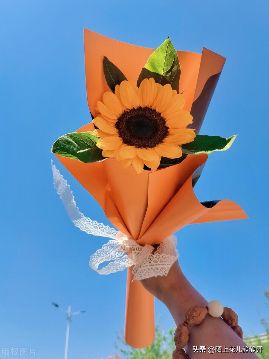 你喜欢夏天的哪些花,夏天盛开的花是什么花