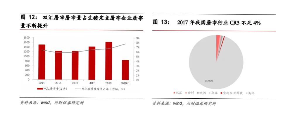 双汇发展深度分析2021,双汇发展2020年报总资产