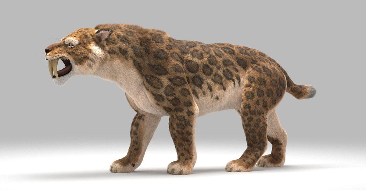 冰河时期最强的猫科秒杀东北虎,猫科霸主东北虎