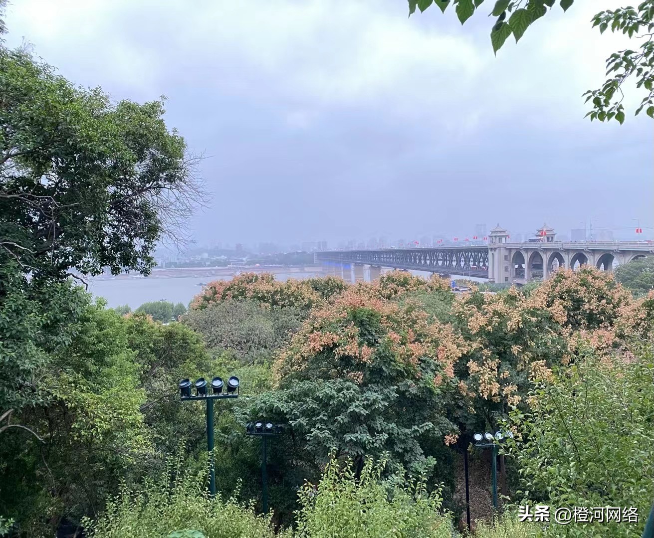 橙河海外问卷调查是真的吗,橙河网络