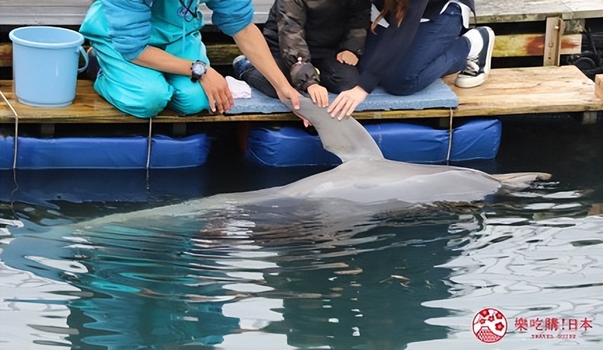 熊本市旅游线路,熊本一日游