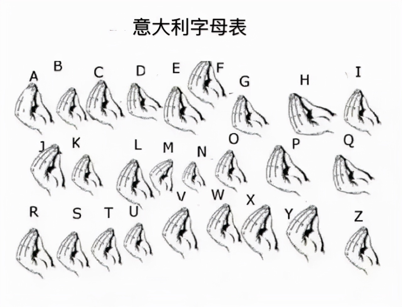 意大利人一个手势被玩坏，网友：捆住他们的手，就说不了话了