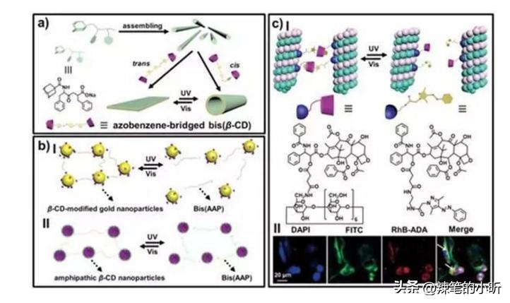 Nd含量对富硅二氧化硅薄膜结构和光致发光性能的影响