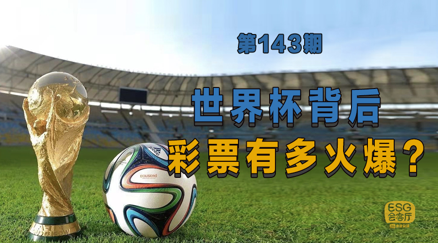 2010世界杯冠军彩票,世界杯彩票幕后