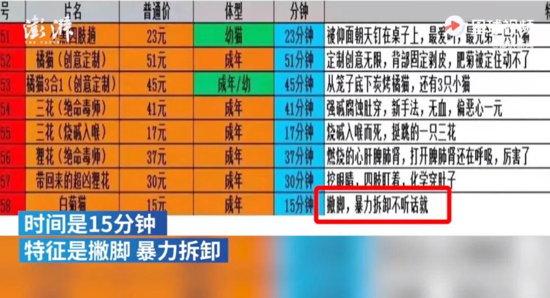 六百万网红想洗白反被封，他哭了狗笑了？网友：他活该