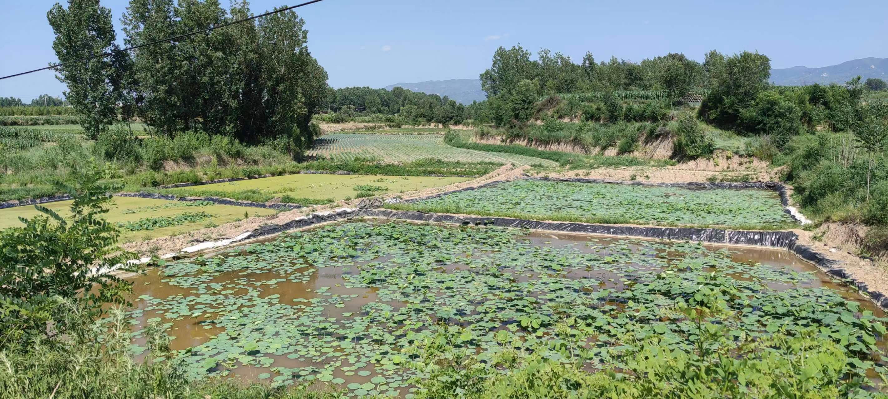 古中国考出彭蠡泽｜张笔魁