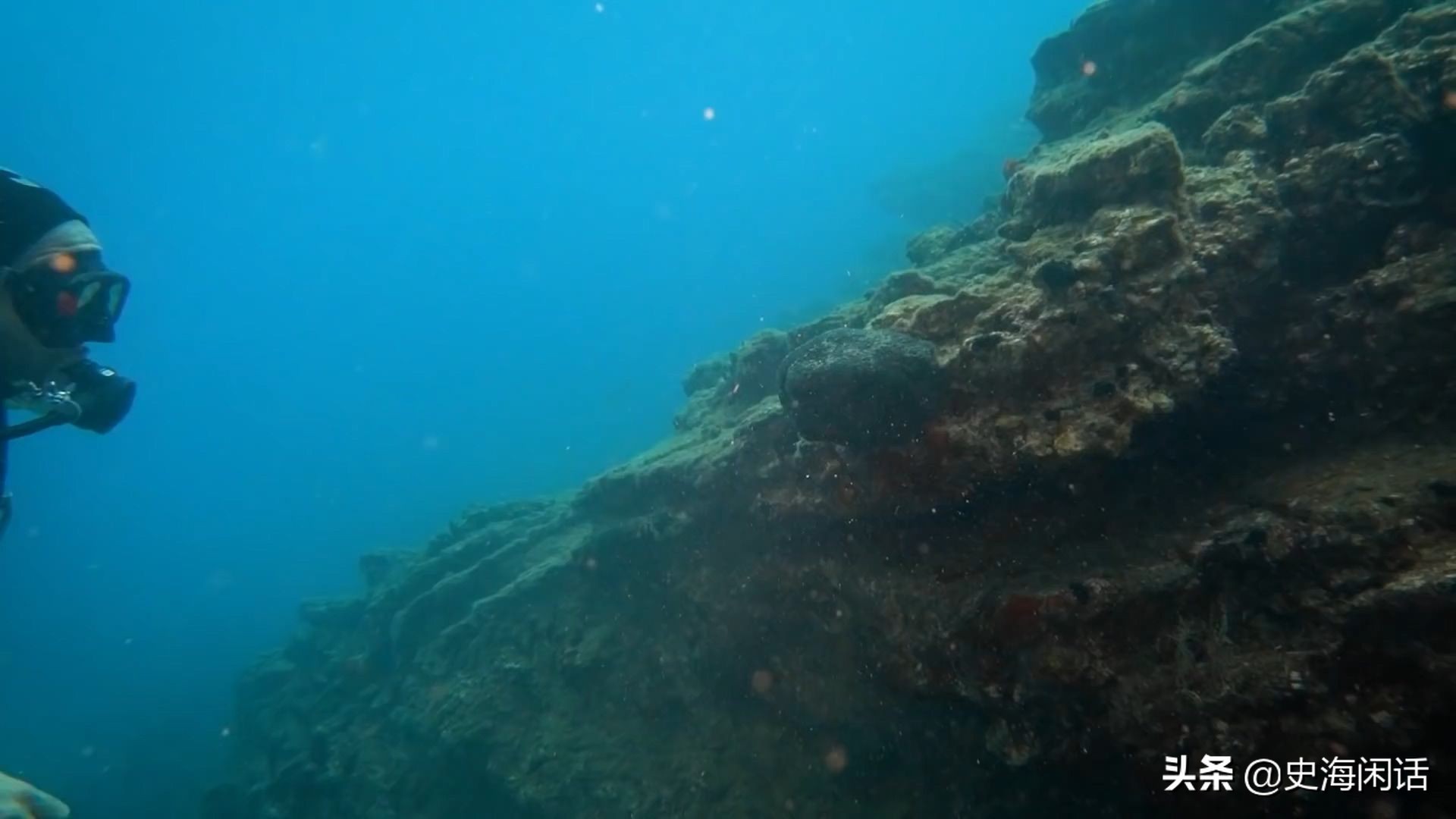 海洋海绵作用,价格昂贵的海绵