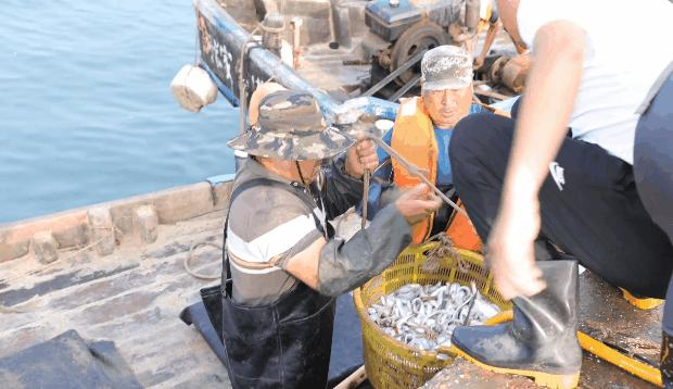 日照海鲜海蜇专卖,日照小螃蟹价格最新行情