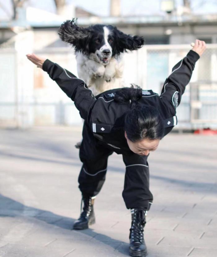 狗对人凶怎么处理,狗对主人发起攻击