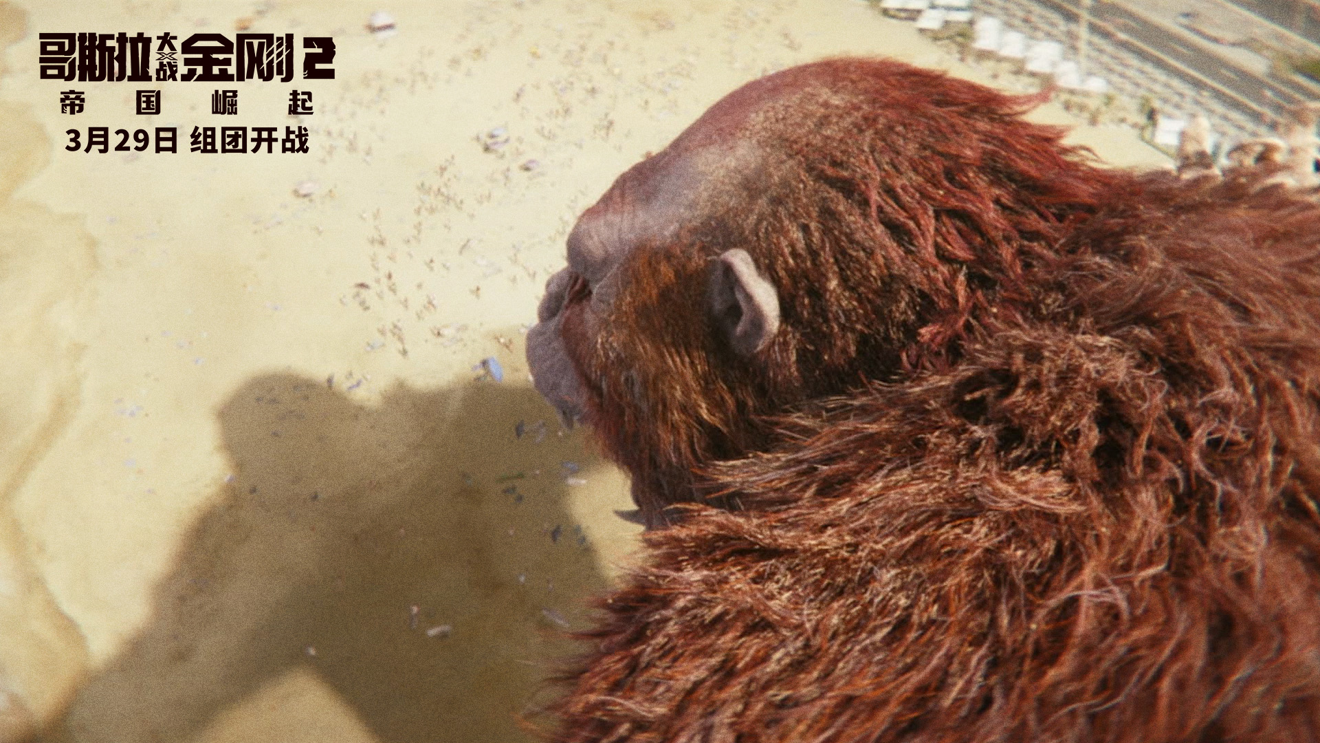 哥斯拉大战金刚2宣传视频,哥斯拉大战金刚2