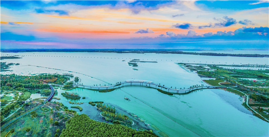 去青浦踏“青”2024“318青浦旅游日”开启