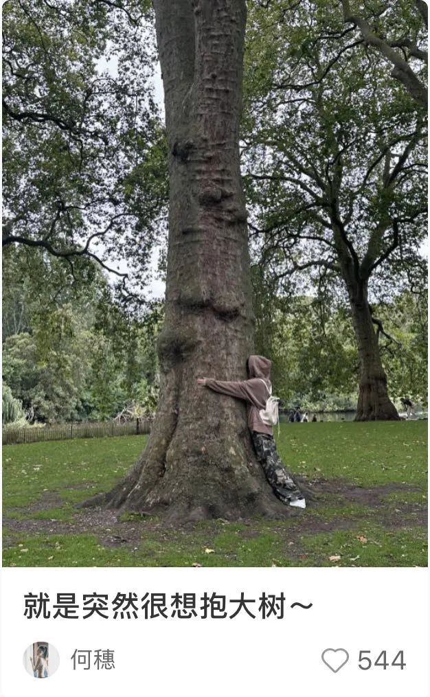 谁懂啊！沪上年轻人开始流行“抱树”解压了