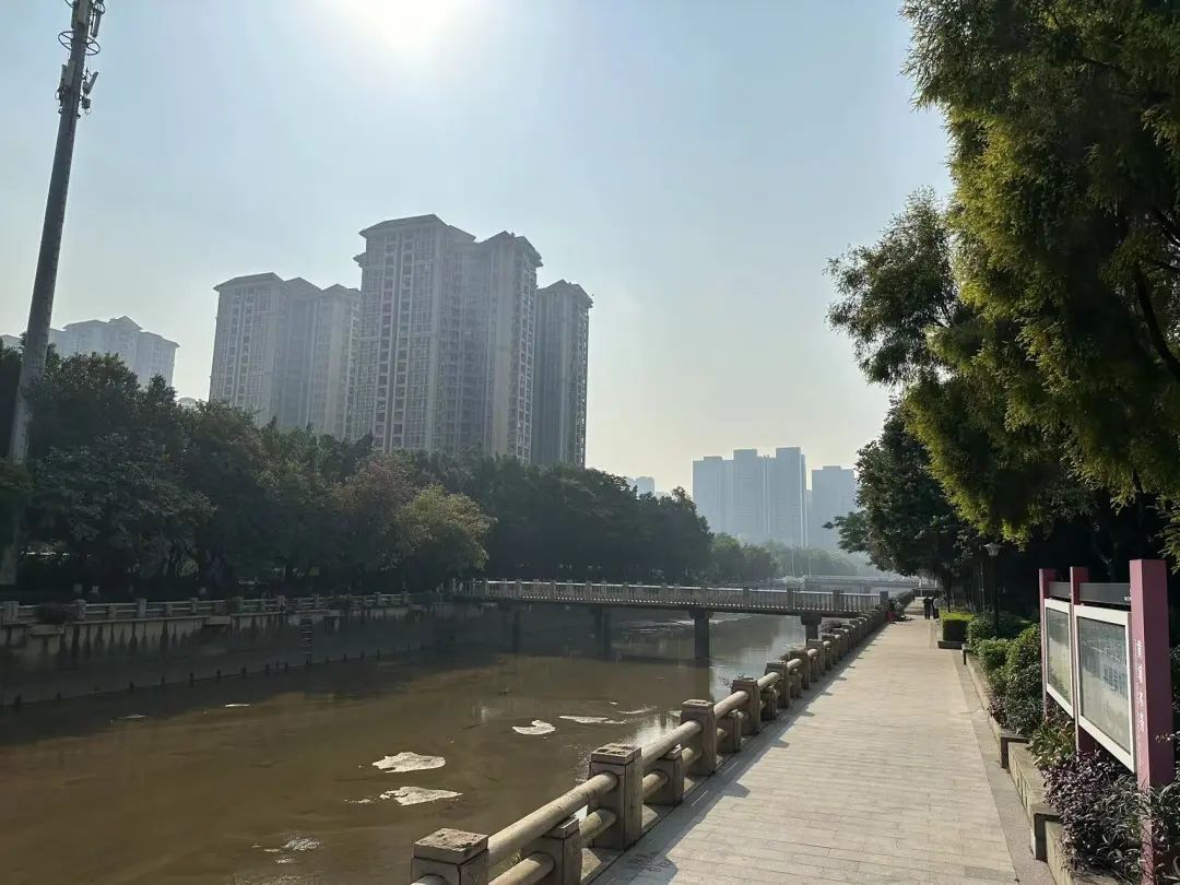 老黄埔“王炸地”会抢破头？很悬啊……