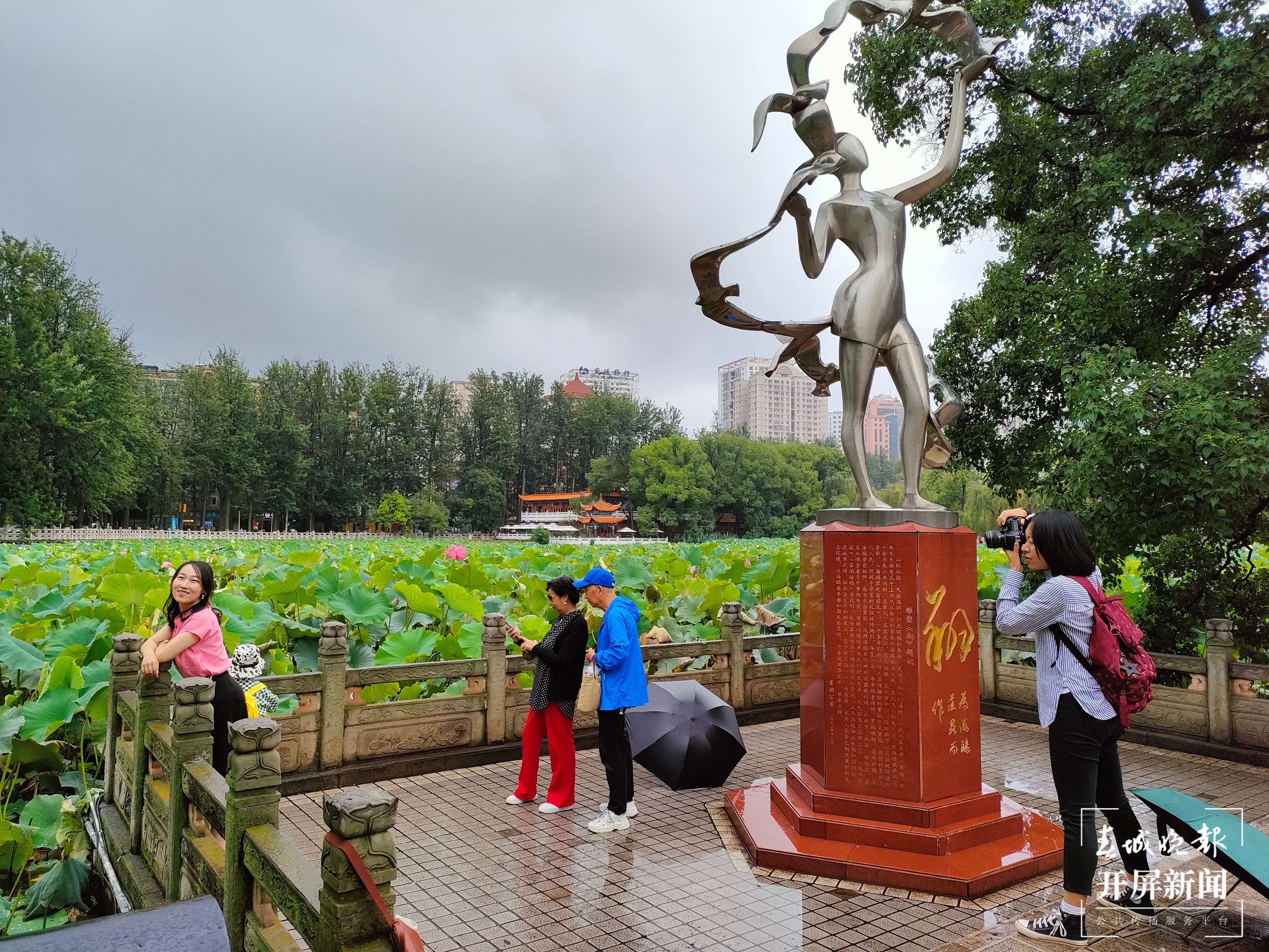 孔雀开屏的观察和思考,孔雀开屏云南游玩攻略