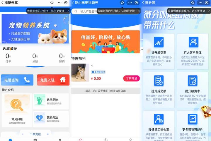 免费领养的猫可以退吗,免费领养的猫但是要支付宝500积分
