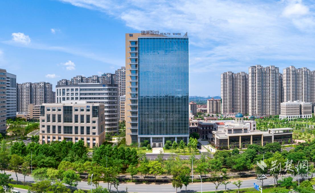 加快打造新兴产业集聚地,加快创新创业产业园区建设