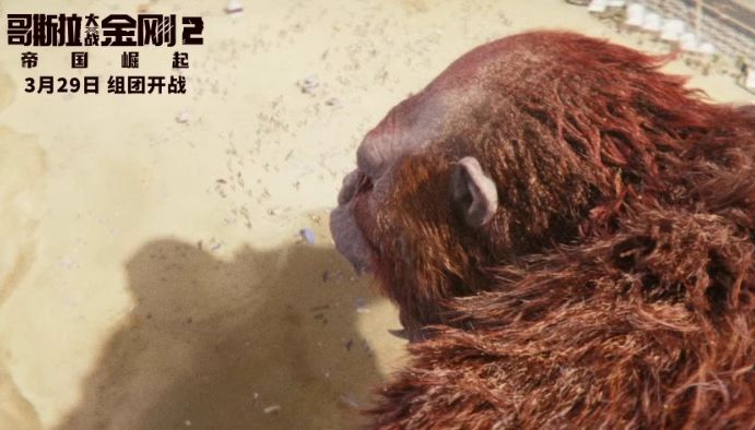 哥斯拉大战金刚2宣传视频,哥斯拉大战金刚2