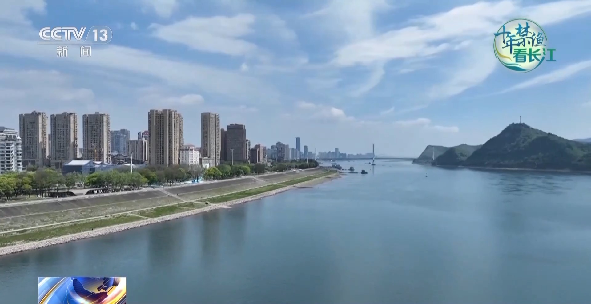 长江禁渔鱼类数据变化,长江禁渔三年多鱼儿们过得怎么样