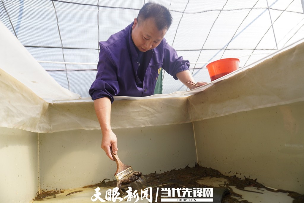 剑河农业发展项目,剑河县旅游业发展的优势在哪